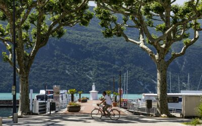 Terrains en vente dans les Bouches-du-Rhône : explorer les possibilités et les défis